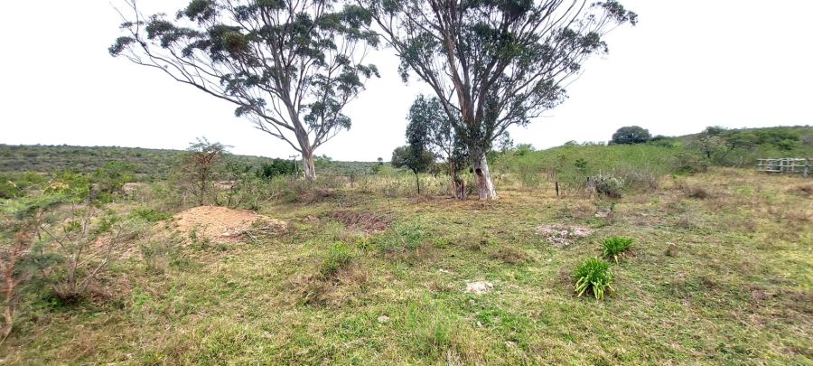 5 Bedroom Property for Sale in Kwelera Eastern Cape